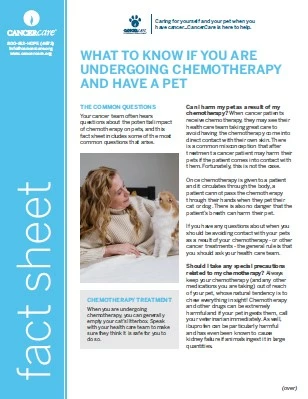 What to Know if You are Undergoing Chemotherapy and Have a Pet fact sheet image