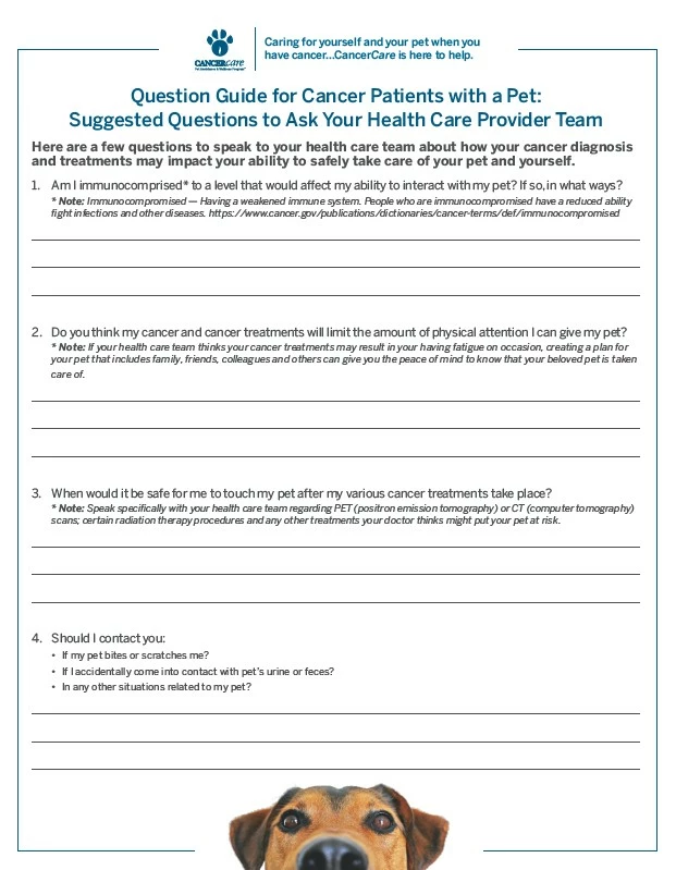 Suggested Questions to Ask Your Healthcare Provider Team image