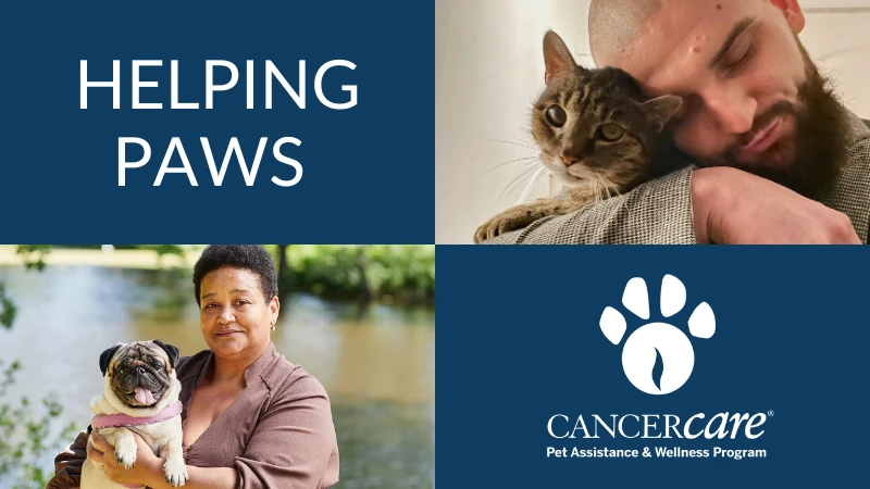 Helping PAWS database page header image