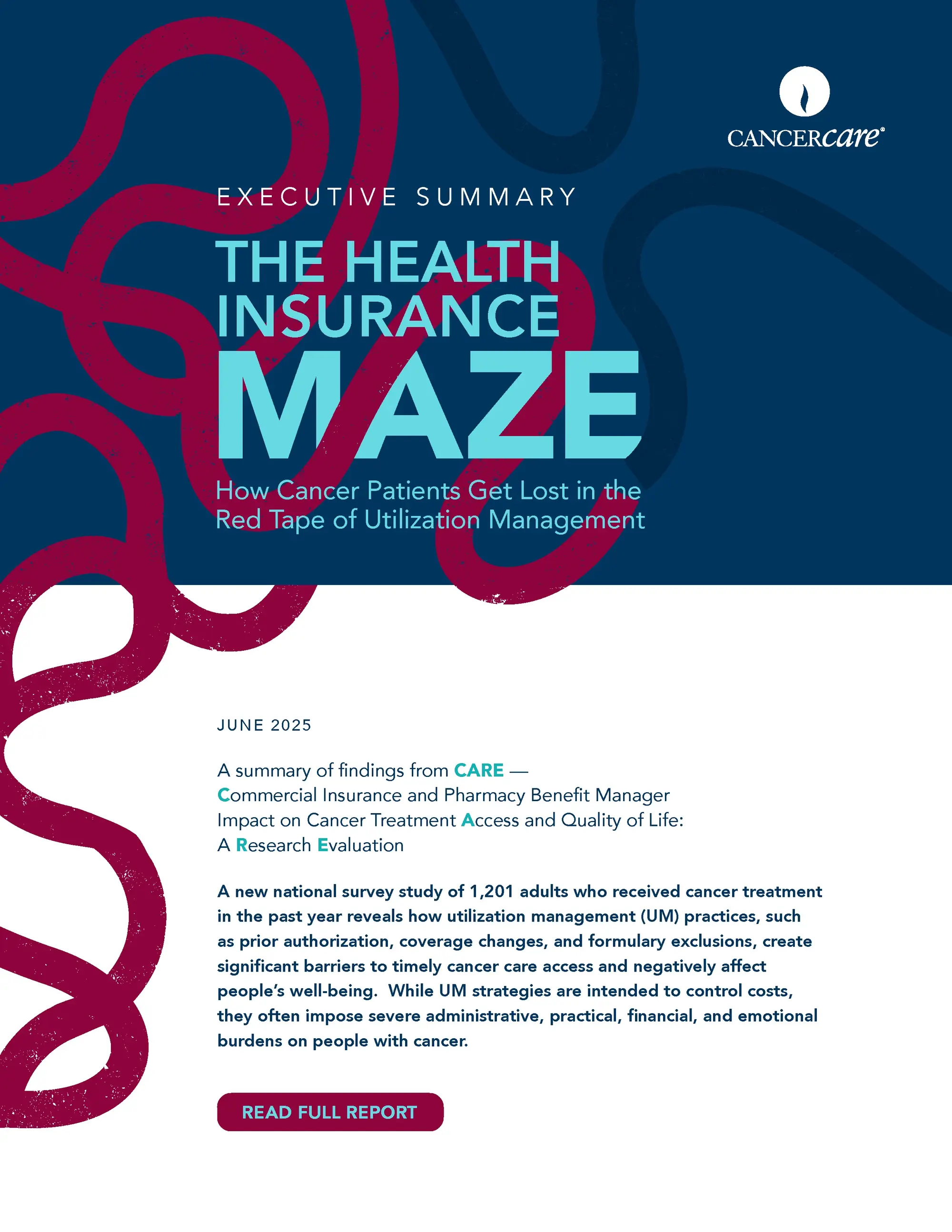 Red Tape Executive Summary Red Tape Executive Summary