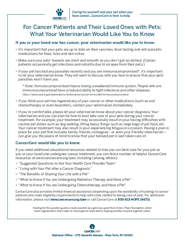What Your Veterinarian Would Like You to Know image