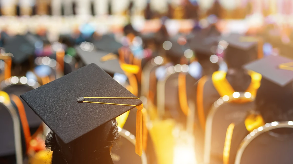 New graduates